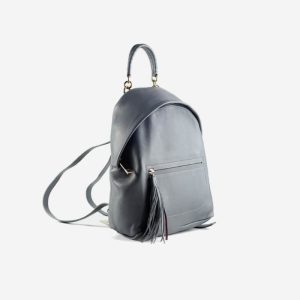 Blue BackPack - 图片 3
